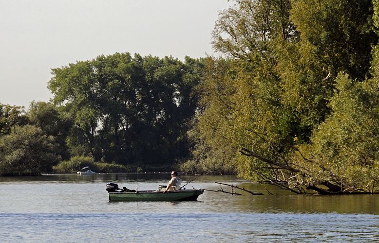 Bilder von Hamburg, der Stadt am Wasser - Angelboot auf der Dove Elbe  11_21606 Ein Angelboot in der Morgensonne auf der Dovelelbe bei Hamburg Tatenberg, Bezirk Bergedorf. Der Angler sitzt entspannt auf einem Campingstuhl in seinem Holzboot, dass einen Aussenbordmotor am Heck montiert hat. Einige Angelruten stecken in den Halterungen des kleinen Sportboots.   www.hamburg-fotos.org