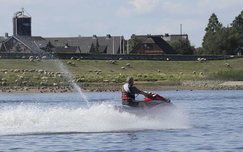 Hamburg Fotografien - Stadt am Wasser; Bilder von der Elbe im Bezirk Bergedorf - Jetboot   11_21610 Ein Jetski fhrt in hohem Tempo auf der Elbe; das Wassermotorrad hinterlsst eine hohe Spur von Gischt. Freunde dieses lauten Wassersports bentigen einen Sportbootfhrerschein Binnen oder See, da die Jetboote mehr als 5 PS Motorleistung haben. Sie erreichen eine Geschwindigkeit von ca. 120 km/h und haben eine Maschinenleistung von 120 und mehr PS. Im Hintergrund steht eine Schafherde verteilt auf dem Elbdeich und grast - die Schafe halten nicht nur das Gras auf dem Deich kurz, sie treten auch den Boden fest. www.bilder-hamburg.de