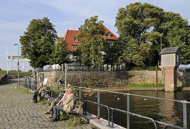 Hamburg Bilder aus Bergedorf / Kirchwerder - Zollenspieker Fhrhaus, Pegelhaus.11_21619 Blick ber die Kaianlage der Zollenspieker Fhre zum Fhrhaus, das zwischen den Bumen versteckt ist. Der Weg ist mit Kopfstein gepflaster - rechts das Pegelhaus; Mwen schwimmen auf dem Wasser.  www.bilder-hamburg.de