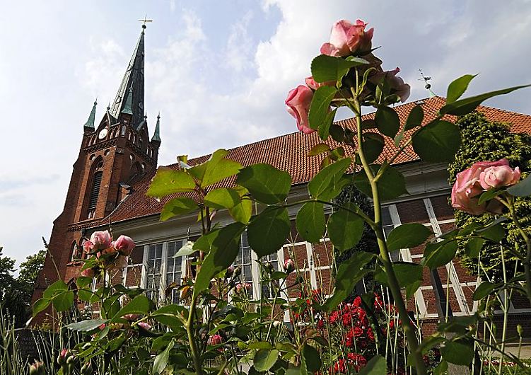 Hamburg Fotografie - Kirche St. Nikolai in Moorfleet, Bezirk Hamburg Bergedorf   11_21646  Rosen blhen auf dem Kirchhof der St. Nikolaikirche in Hamburg Moorfleet, Bezirk Bergedorf - die Fachwerkkirche St. Nikolai wurde um 1680 erbaut; der Turm um 1885 errichtet.   www.hamburg-bilder.org