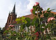11_21646  Rosen blhen auf dem Kirchhof der St. Nikolaikirche in Hamburg Moorfleet, Bezirk Bergedorf - die Fachwerkkirche St. Nikolai wurde um 1680 erbaut; der Turm um 1885 errichtet.   www.hamburg-bilder.org