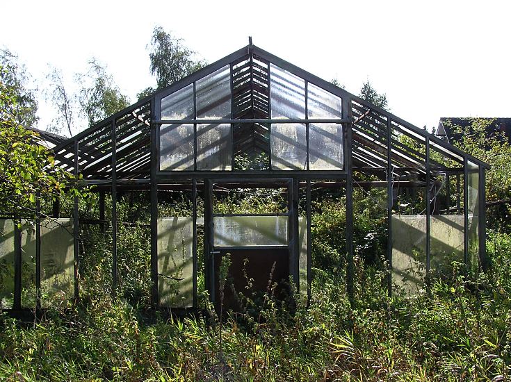 Bild vom stillgelegten Treibhaus, hoch wucherndes Gestrpp / Wildkraut im Gewchshaus  11_21660  Aufgrund hoher Heizkosten mussten Grtnereien auch in den  Hamburger Vier- und Marschlanden glsernen Gewchshuser aufgeben. Die Glasscheiben vom Glashaus sind fast alle zerstrt - hoch wuchert das Gestrpp und Wildkraut jetzt in dem verlassenen Treibhaus. www.bildarchiv-hamburg.com