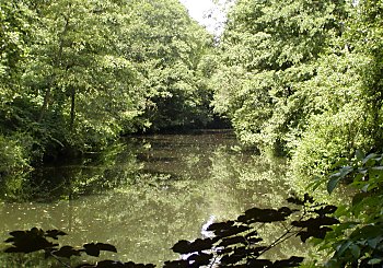 Bilder Hamburg Sehensw�rdigkeiten Alster 2002_2398_0990