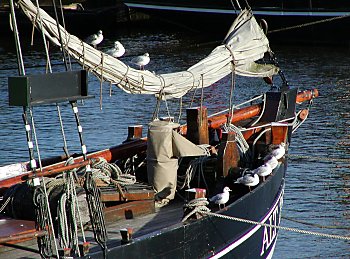 Bilder Hamburg Sehensw�rdigkeiten Hafen 2002_7398_09990