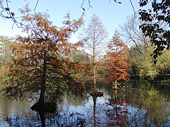 Bilder Hamburg Sehensw�rdigkeiten Eichtalpark 2002_90561_0990