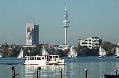 011_14483 - Mwen auf Holzpfahl; ein Alsterdampfer durchpflgt das Alsterbecken der Aussenalster.