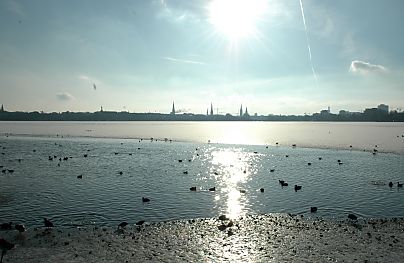 011_14496 - Wintersonne ber der Alster; Schwimmvgel halten sich ein Eisloch frei.