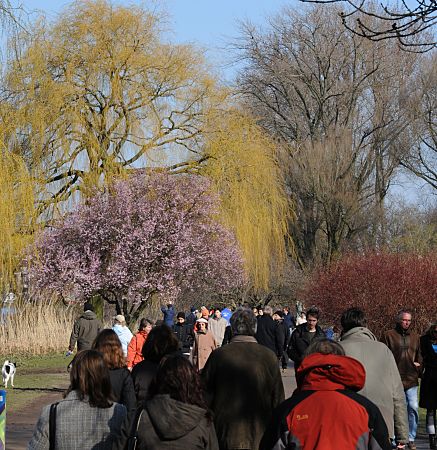 11_17425 - trotz der Sonne ist es noch recht kalt zu Ostern in Hamburg - mit dicken Jacken und Schal gehen die Spaziergnger auf dem Alsterrundweg um den grossen Hamburger Binnensee. 