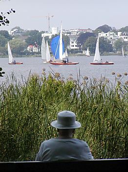 011_14465 - eine Dame mit Hut sitzt hinter dem Schilfgrtel und beobachtet die Segler auf de Alster.