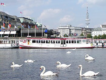 Bilder Hamburg Sehenswrdigkeiten Alster Anleger Dampfer