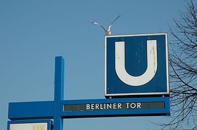 011_14852 U-Bahnschild Berliner Tor / U3; eine Mwe im Abflug.