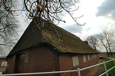 04_23191 die reetgedeckte Scheune wird bald abgerissen. 