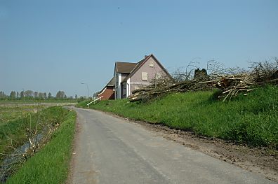 011_14812 Abrisshaus auf dem Deich, gefllte Bume liegen zum Abtransport bereit (Treppengelnder siehe unten)