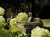 11_21511 Hinter den weissen Blten von Hortensien zwei Sphinx - Skulpturen im Garten des Bergedorfer Rathauses; zwischen den Sphingen fhren in der Gartenanlage Stufen zum  Rathausgebude. Im Hintergrund ist das Bergedorfer Standesamt zu erkennen - die Fenster haben Fensterladen aus Holz.  www.hamburg-fotograf.com