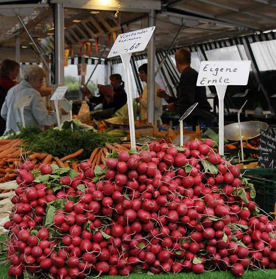 Wochenmarkt in Lohbrgge, Bezirk Hamburg Bergedorf   11_21540 Frische Vierlnder Radieschen liegen hoch gestapelt auf dem Obst- und Gemsestand des Wochenmarktes in Hamburg Lohbrgge. Ein Schild weist die Marktbesucher darauf hin, das Markthndler seine eigene Ernte verkauft. www.hamburg-fotograf.com