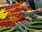 11_21542 Gemsestand auf dem Bergedorfer Wochenmarkt - frisches Vierlnder Gemse liegt in Kisten auf dem Verkaufsstand. Im Vordergrund Vierlnder Gurken, dahinter die leuchtend roten Vierlnder Tomaten. Der Markhndler legt gerade Cherrytomaten in die Waagschale. www.hamburg-fotograf.com