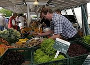 11_21544 Marktstand mit frischem Gemse auf dem Bergedorfer Wochenmarkt - der Markthndler fllt gerade Vierlnder Kartoffeln in eine Waagschale. Im Vordergrund stehen Gemsekisten gefllt mit den unterschiedlichsten Sorten Vierlnder Salate. Die Vierlande gehren zum Bezirk Bergedorf und bestehen aus den Orten Kirchwerder, Neuengamme, Altengamme und Curslack - die Gegend wird auch als der Gemsegarten / Blumengarten Hamburgs bezeichnet - die Bauern verkaufen ihre Erzeugnisse hufig auch direkt u.a. auf dem Bergedorfer Wochenmarkt. www.hamburg-fotograf.com