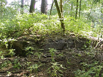 Fotos Hamburg  Gebude Schutzrume / Bunker Stadtpark