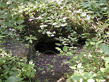 Fotos Hamburg  Gebude Schutzrume / Bunker Stadtpark