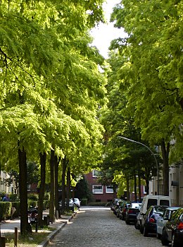 Bilder Hamburg  Gebude Dulsberg