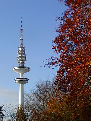 011_14606 - Fernsehturm mit Herbstlaub