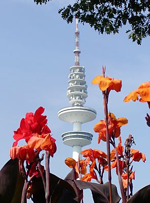 011_14628 - orangefarbene und rote Blten in Planten un Blomen  