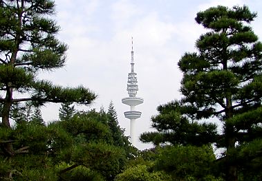 011_14631 - Bume im Japanischen Garten von Planten un Blomen.