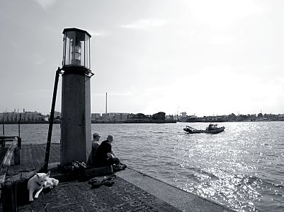 011_15440 Menschen und ein Hund sitzen in der Abendsonne beim Leuchtfeuer an der uersten Spitze des Kaispeichergelndes.