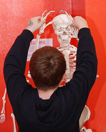 011_15918 - ein Junge probiert am Skelett die Bewegung der menschlichen Arme. 