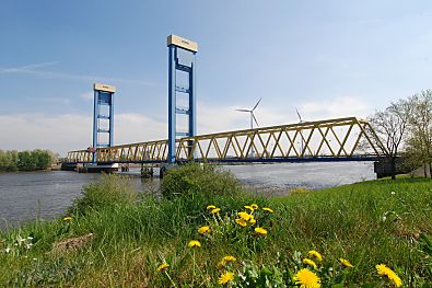 011_15833 - Frhling am Kattwyck -  Butterblumen auf der Wiese an der Sderelbe.