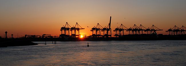 011_15683 - Sonnenuntergang am Altenwerder Container Terminal - bis auf einen sind alle Containerbrcken in Arbeit.
