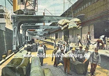 011_15718 - der historische Hamburger Hafen um 1910;  Hafenarbeiter transportieren Baumstmme, die von einem Frachtschiff entladen wurden, per Hand in den Lagerschuppen; ber ihre Kpfe schwebt eine Ladung Scke, die dann per Sackkarre in den Hafenschuppen gebracht werden. 