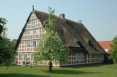 011_14064 - blhender Birnbaum, reetgedecktes Fachwerkhaus auf der Wiese.