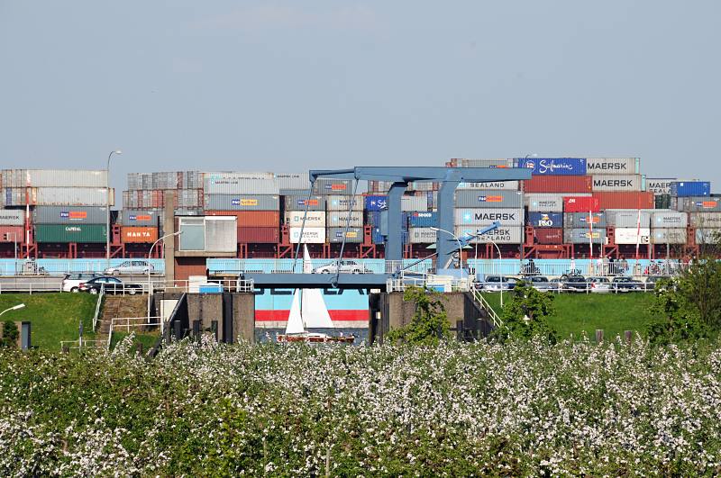 Ausflugsziel Altes Land - Apfelblte; Schiffsverkehr au der Elbe. Blhende Apfelbume - Sperrwerk / Klappbrcke der Lhe, Containerschiff.  012_7285 Das Alte Land ist ein Teil der Elbmarsch, mit ca. 14 3000 Hektor Baumobst ist das Alte Land das grte zusammenhngende Obstanbaugebiet Mitteleuropas. 77 Prozent der Obstbume sind pfel und 12,7 % Kirschen. Blick ber blhende Apfelbume zum Elbdeich bei Grnendeich. Durch die ffnung des Lhesperrwerks ist ein Segelboot zu erkennen - ein Containerriese fhrt hochbeladen auf der Elbe Richtung Hamburg.