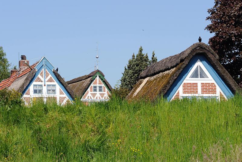 Bilder aus dem Gebiet des Obstanbau im Alten Land an der LHE.  Giebel von historischen Fachwerkhusern hinter dem Deich.  026_4113 Alte Fachwerkhuser hinter dem grnen Gras des Deichs an der Lhe - die historischen Huser des Alten Landes sind mit Reet gedeckt. Die Giebelbalken sind Blau oder Grn abgesetzt, die restlichen Balken wurden frisch geweisst. Das mit Ziegelsteinen gefllte Fachwerk hat bei jedem Haus eine andere Anordnung.