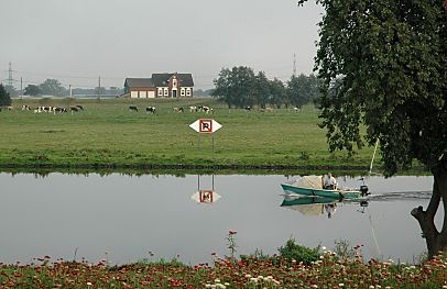 011_15010 - ein kleines Sportboot fährt auf der spiegelglatten Dove Elbe; im Vordergrund eine Blumenwiese - am anderen Ufer ein ' Parken verboten ' Schild; Schiffe dürfen dort nicht anlegen - auf der Wiese grasen Kühe.