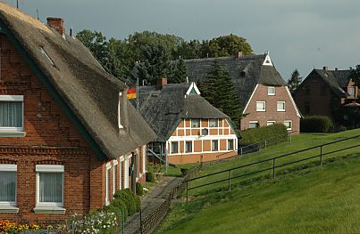 011_15014 - Strohdachhuser liegen hinter dem Deich - eine Treppe fhrt zur Deichkrone. Die Wohnhuser sind durch die Deichanlage gegen Sturmfluten von der Elbe geschtzt. 