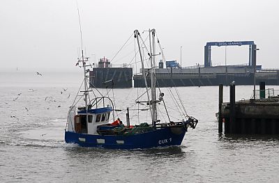 011_15057 - Lein Krabbenfischer kommt von der Nordsee und fhrt in den Hafen von Cuxhaven ein - im Hintergrund die Hafenmole. 
