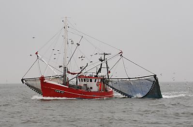 011_15058 - ein Krabbenkutter fischt mit seinen Netzen an den Auslegern die Nordseegarnelen / Krabben. 