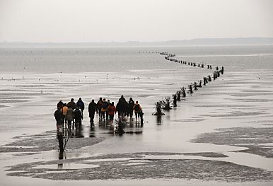 011_15087 - bei Niedrigwasser / Ebbe kann das 10 km entfernte Cuxhaven von Neuwerk aus per Wattwanderung auch zu Fuss erreicht werden.