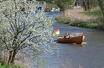 011_15470 - ein Holzmotorboot auf der Este; im Vordergrund ein Baum in voller Blte.