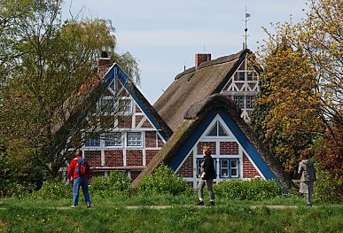 011_15529 - hinter dem Deich zeigen sich drei Giebel von Strohdach Husern, die von Spaziergnger bewundert werden. 