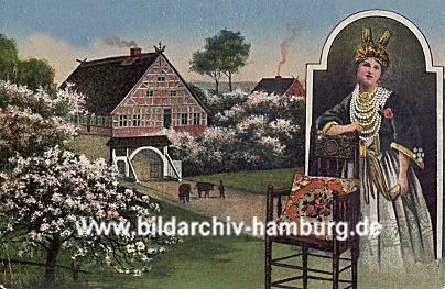 011_15532 - historische Ansicht der Kirschblüte im Alten Land (ca. 1900) - Altländerin in Hochzeitstracht geschmückt.