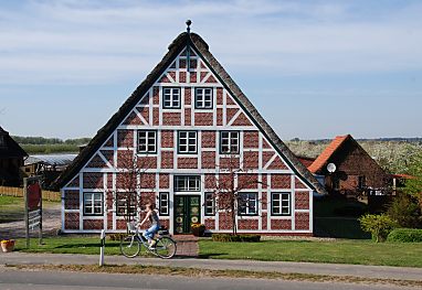 011_15476 - reetgedecktes Bauernhausan der Deichstrasse; Fahrradfahrerin auf dem Fussweg - im Hintergrund blhende Obstbume.