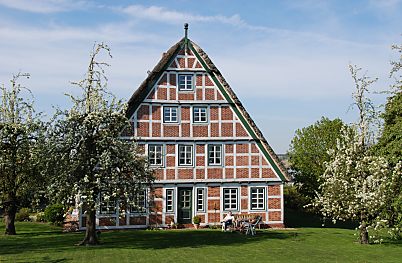 011_15477 - historisches Fachwerkhaus im Alten Land - Obstbume auf der Wiese.