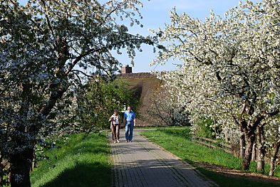 011_15480 - Ausflug im Alten Land - Sonntagsspaziergang durch die malerische Landschaft im Alten Land.