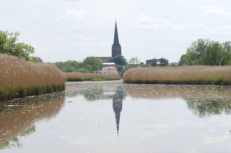 Bilder aus dem Alten Land - Bootsfahrt auf der Este. Schilf am Flussufer - Kirchturm der St. Petri Kirche. 056_7547 Die Este ist von der Mndung fr Sportboote je nach Tide schiffbar. Das Flussufer ist kurz vor Buxtehude mit dichtem Schilf und Gras bewachsen. Der hohe Turm der Buxtehuder St. Petrikirche spiegelt sich im Wasser des ruhigen Flusses.