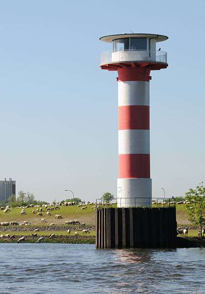 Bilder aus der Metropolregion Hamburg / Leuchtfeuer - Schafherde am Deich. 063_8028 Leuchtturm am Stadersand - in der Nhe der Schwingemndung - eine Herde Schafe grast auf dem Deich am Ufer der Elbe.