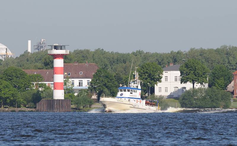 Bilder aus der Metropolregion Hamburg / Schiff der Fischereiaufsicht NARWAL, Mndung Schwinge.  064_4775 Das Aufsichtsschiff des Staatlichen Fischereiamts Bremerhaven, die NARWAL vor Stader Sand - das Schiff liegt in Cuxhaven und erreicht eine Hchstgeschwindigkeit von 21 Knoten.