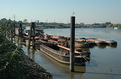 011_15737 - leere Schuten liegen an Pontons und Duckdalben am Berliner Ufer vom Spreehafen.